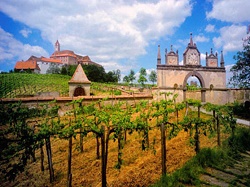 Find Winery Tours And Tastings